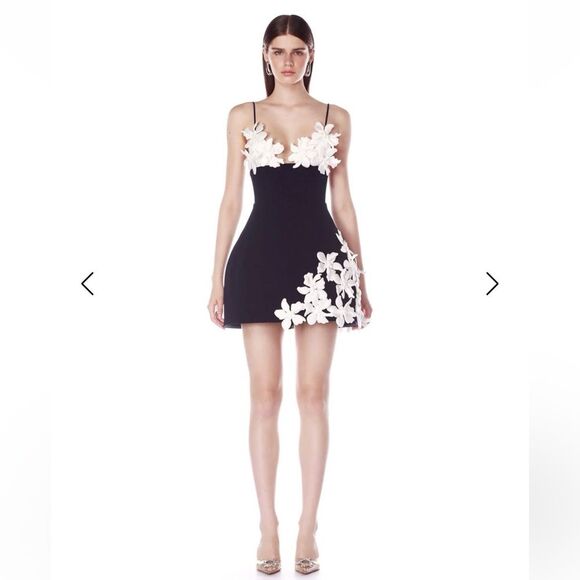 Bronx and Banco Dresses & Skirts - NEW BRONX AND BANCO EMMA MINI Black and White Floral Appliqué Mini Dress